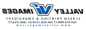 Valley Images logo: the letters V and I in blue, interlinked at the center and outlined in black, with the word Valley to the left and Images to the right, both in a simple black font.